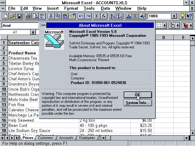 Microsoft Excel 5.0 - About